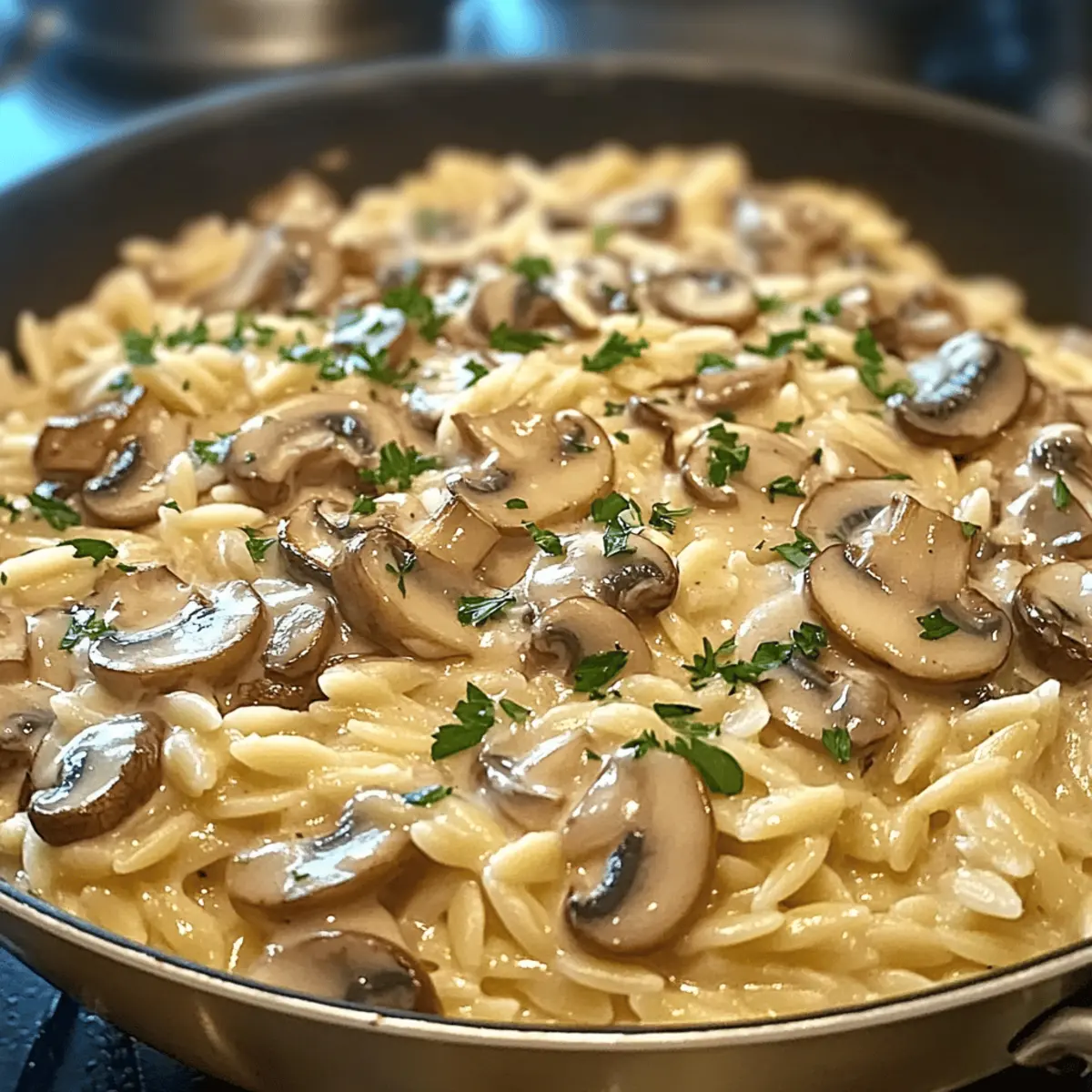 One Pot Creamy Mushroom Orzo clezkm