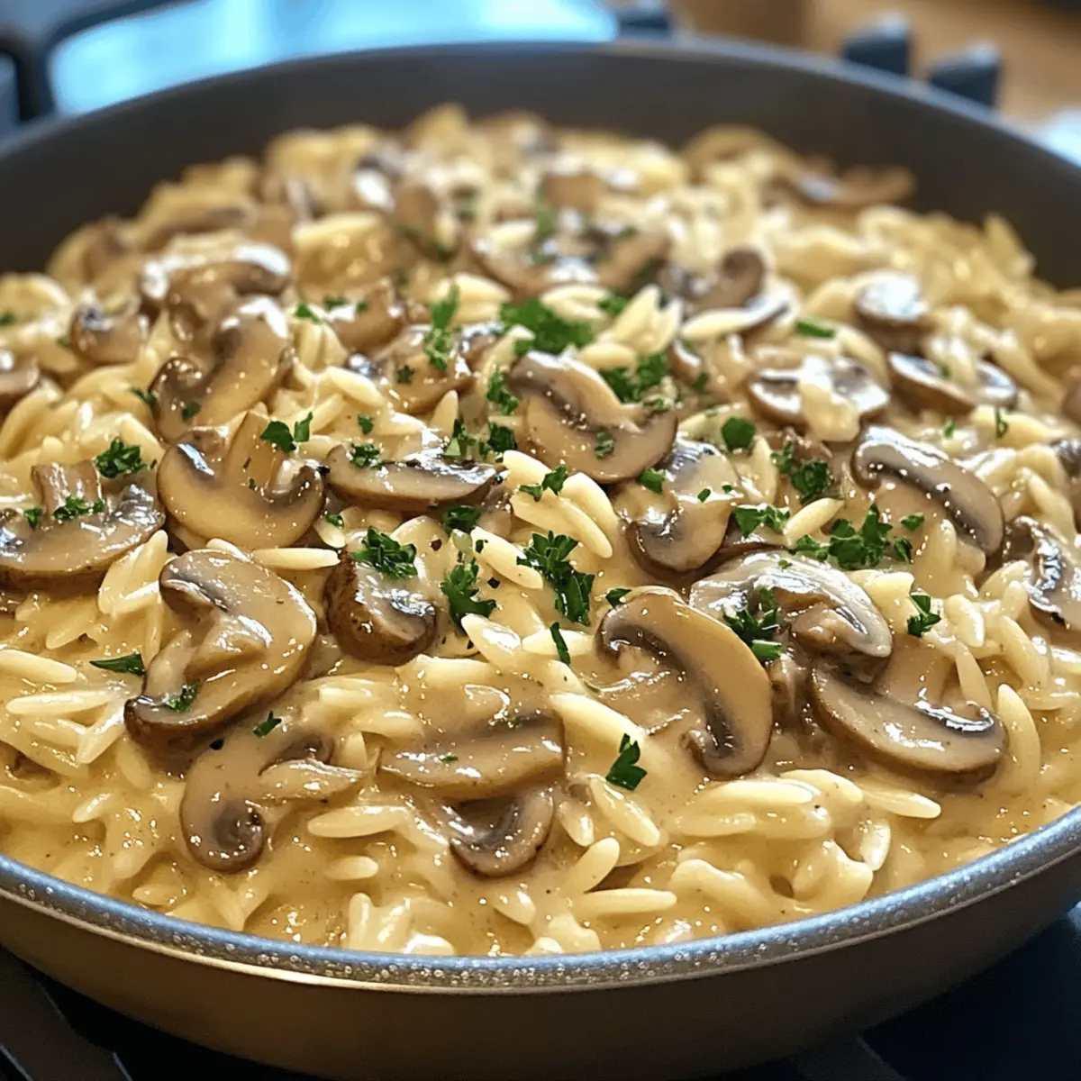 One Pot Creamy Mushroom Orzo hm0o8q