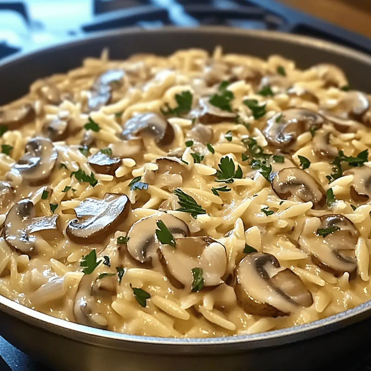 One Pot Creamy Mushroom Orzo wvs8d5