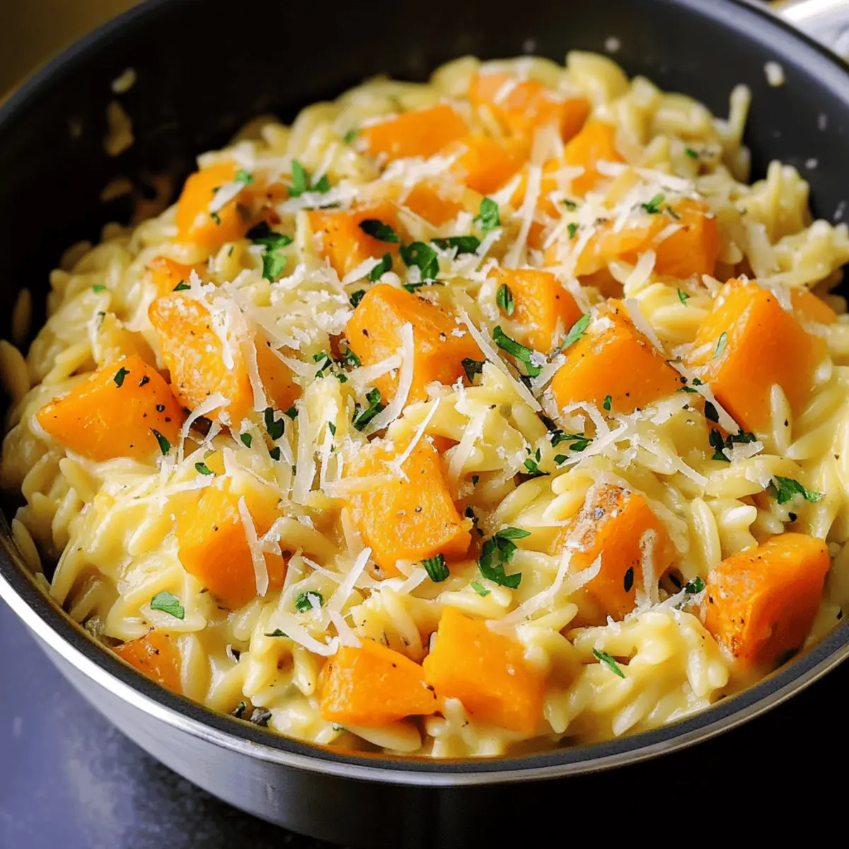 Cheesy Butternut Squash Orzo aryblz