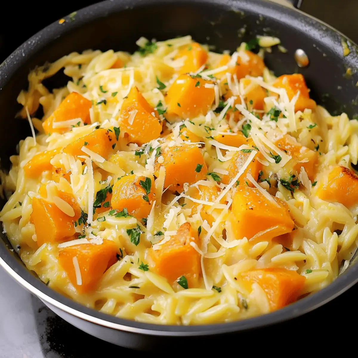 Cheesy Butternut Squash Orzo yozcd2