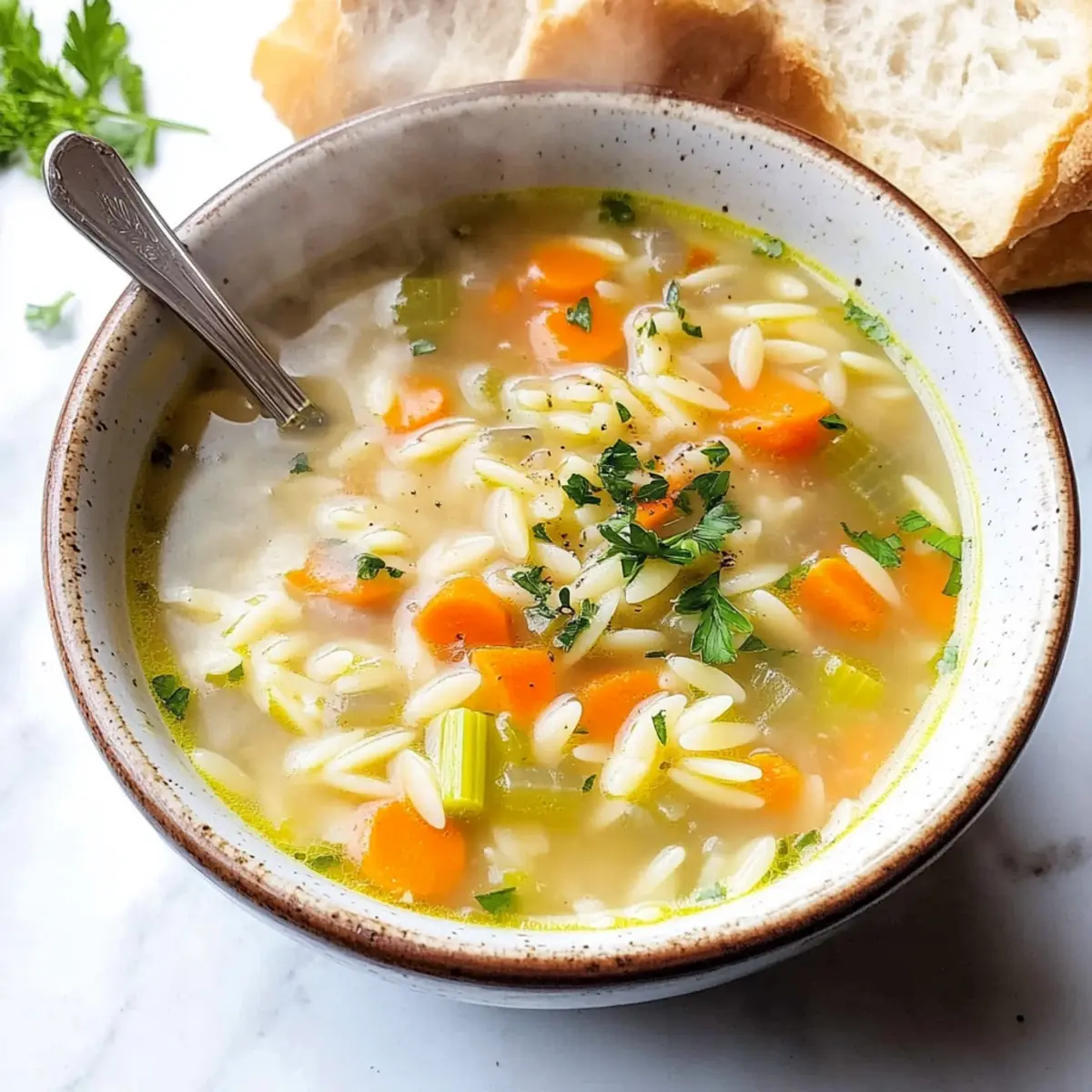 Hearty Orzo Soup: A Cozy Vegan Delight You’ll Love